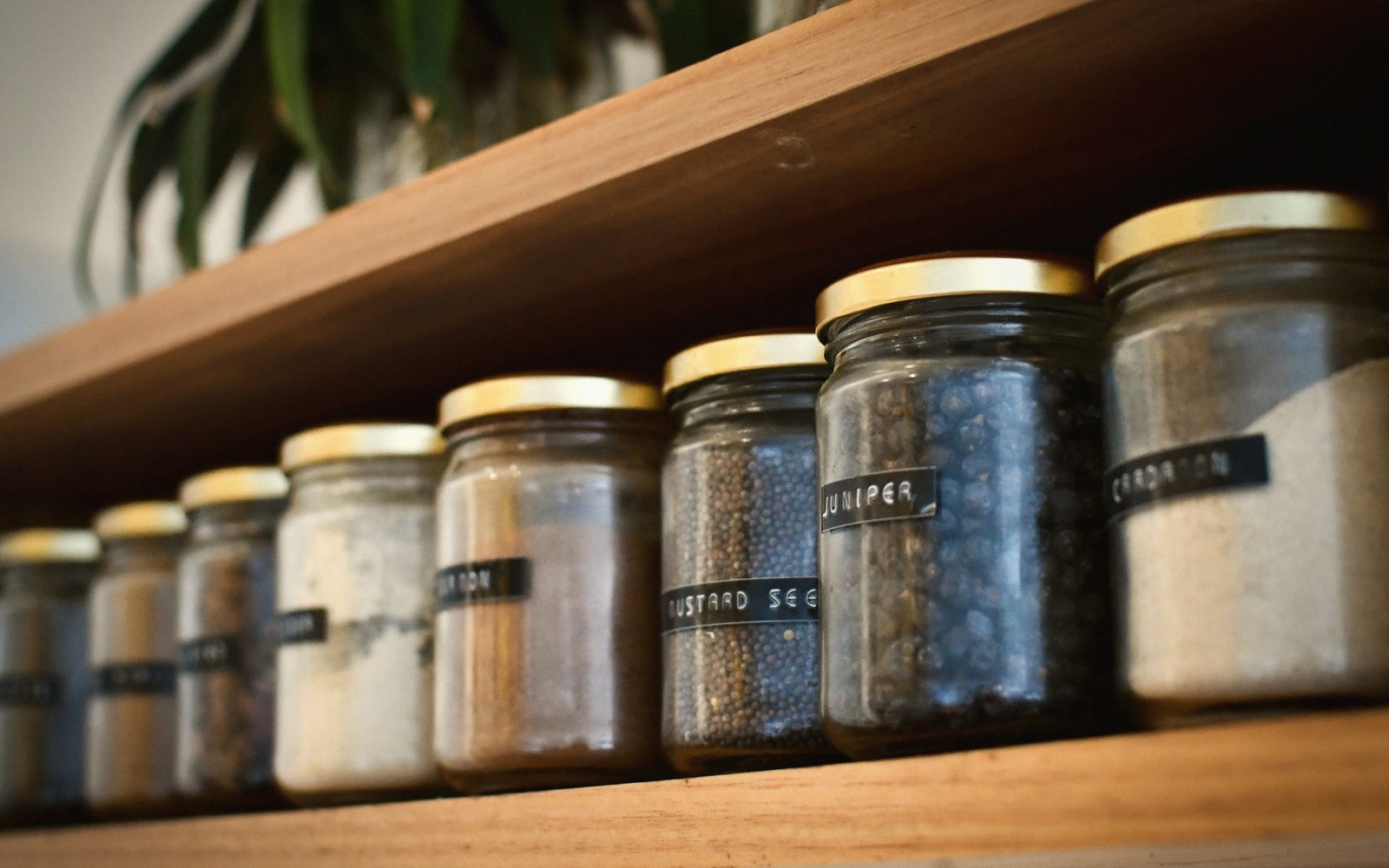 A Beginner's Case for Dried Beans