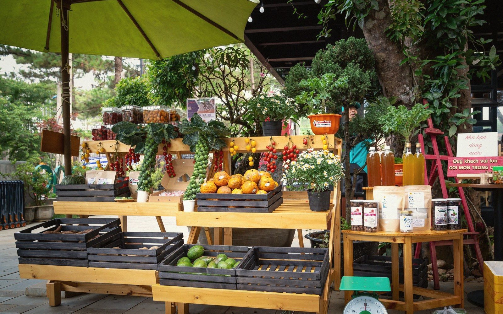 Is Organic Actually Worth It?